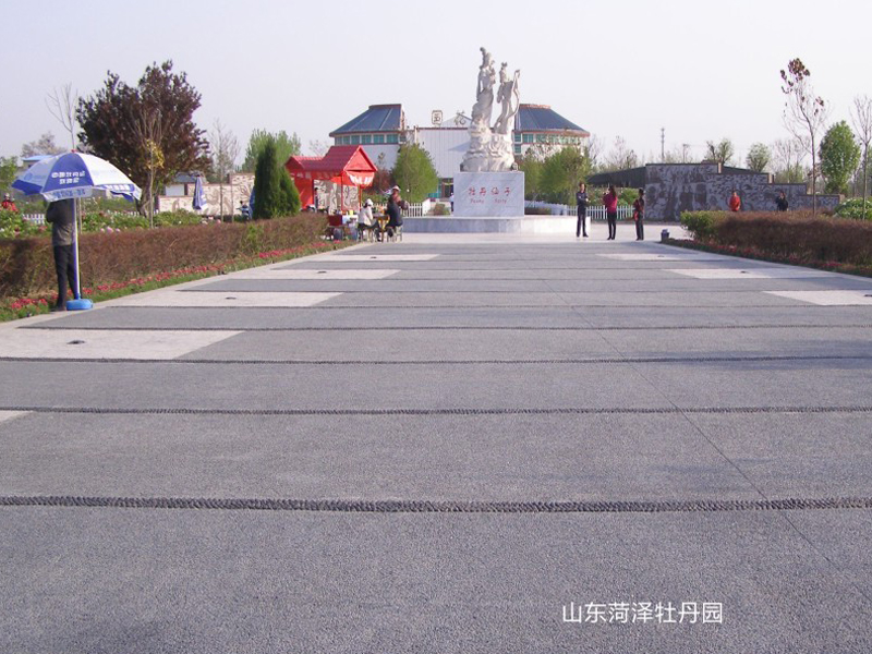 山东菏泽牡丹园